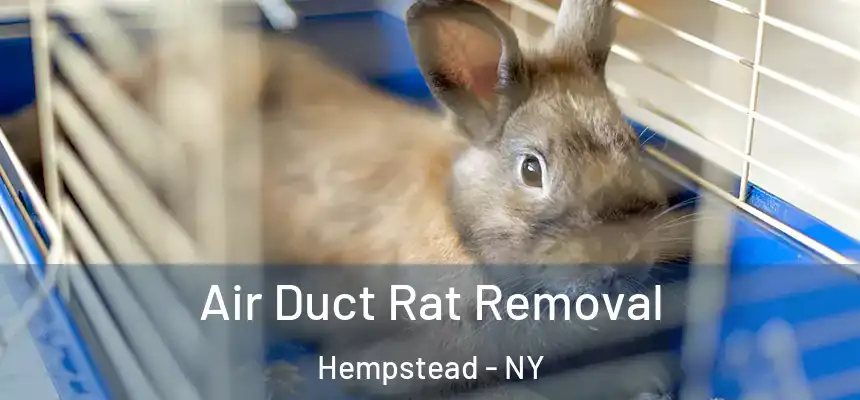  Air Duct Rat Removal Hempstead - NY