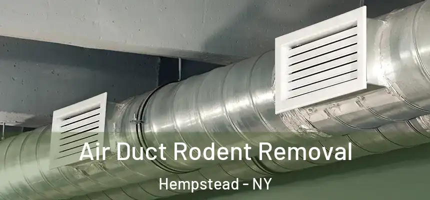  Air Duct Rodent Removal Hempstead - NY