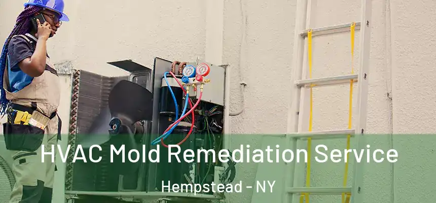  HVAC Mold Remediation Service Hempstead - NY