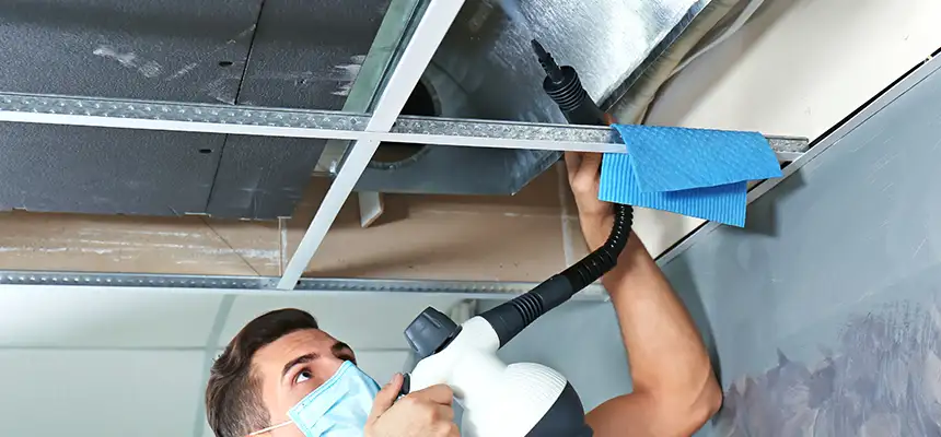 Our Air Duct Rodent Removal Services in Hempstead, NY