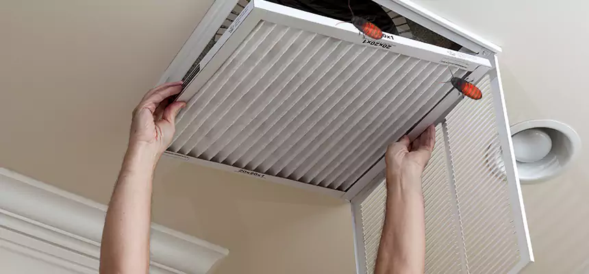 Our Insect Removal from Air Ducts Services in Hempstead, NY