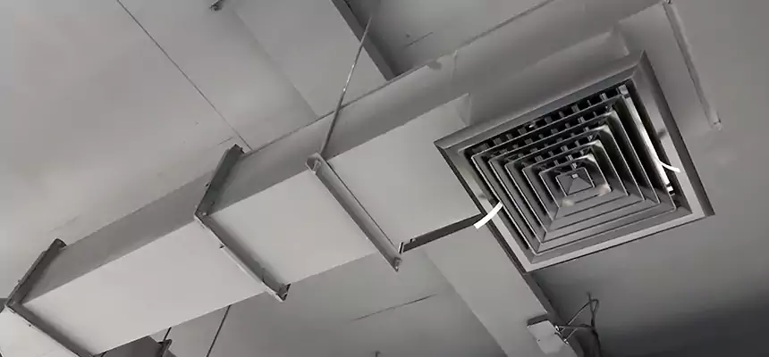 Our Rodent Droppings In Vents Services in Hempstead, NY