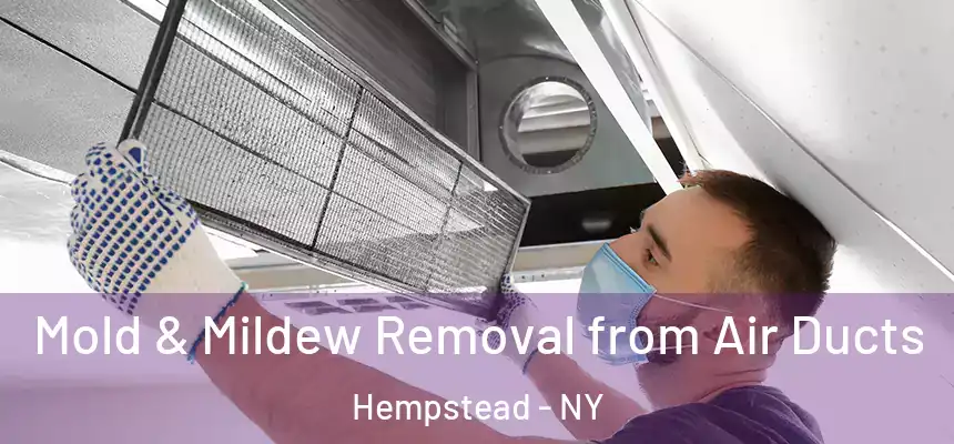  Mold & Mildew Removal from Air Ducts Hempstead - NY