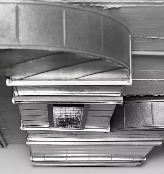 Professional Air Duct Pet Hair Removal in Hempstead, NY