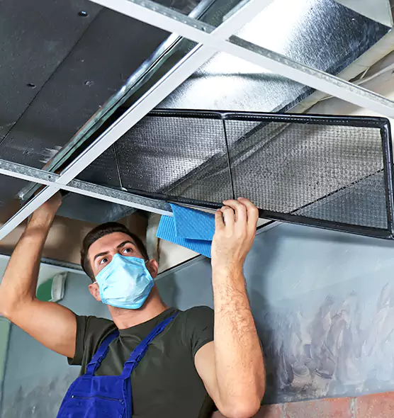 Professional Air Duct Pollen Cleaning in Hempstead, NY