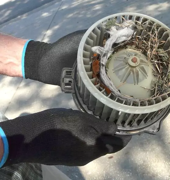 About Air Duct Rat Removal in Hempstead, NY