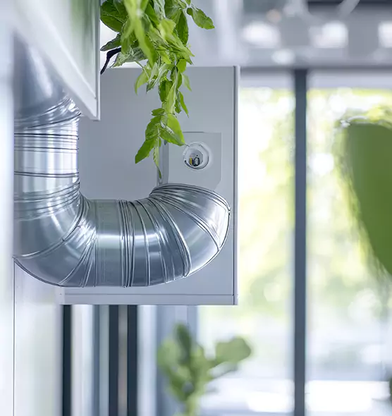 Professional Eco-Safe Dryer Vent Cleaning in Hempstead, NY