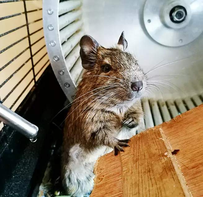 Why Homeowners & Businesses Trust Us Hempstead, NY