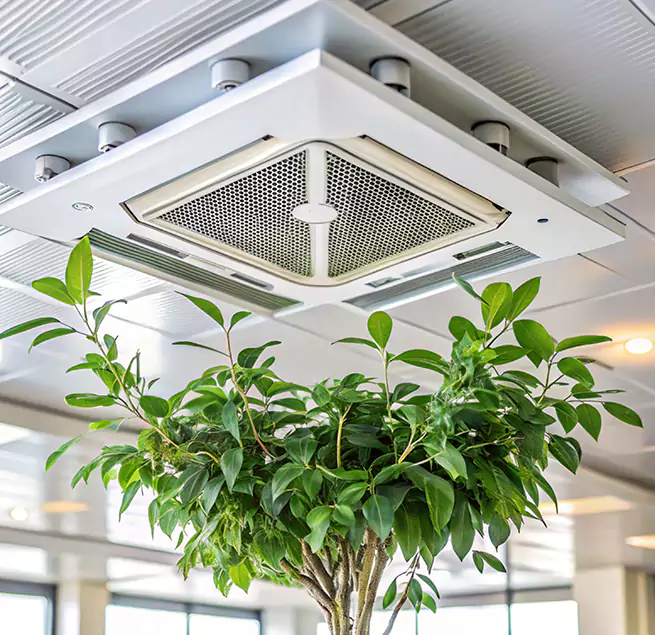 Why Homeowners & Businesses Trust Us in Hempstead, NY?